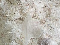 Полиэтилен вторичный переработанный